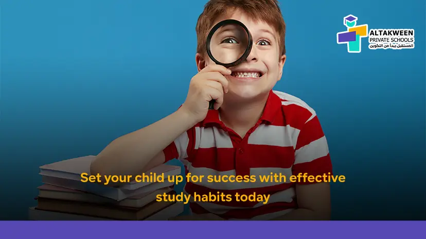 Best Practices for Homework and Study Routines at Home